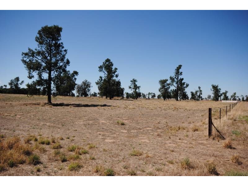 “Koonwarra” Sturt Highway, Darlington Point NSW 2706