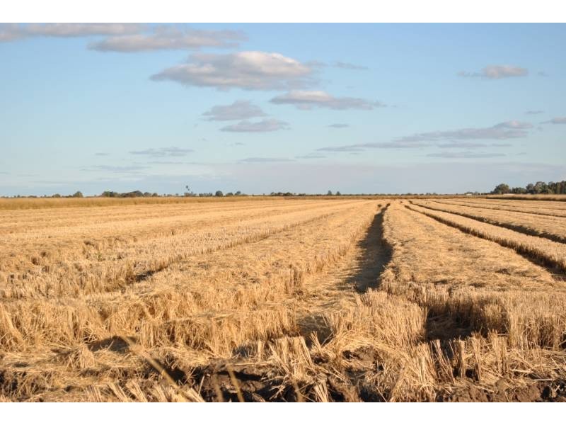 Part Farm 569 Moseley/McDonald Road, Bilbul NSW 2680