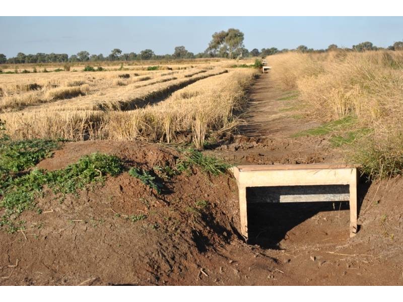 Part Farm 569 Moseley/McDonald Road, Bilbul NSW 2680