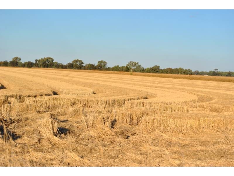 Part Farm 569 Moseley/McDonald Road, Bilbul NSW 2680