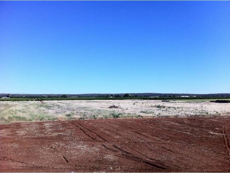 Farm 1884 Smeeth Road, Lake Wyangan NSW 2680