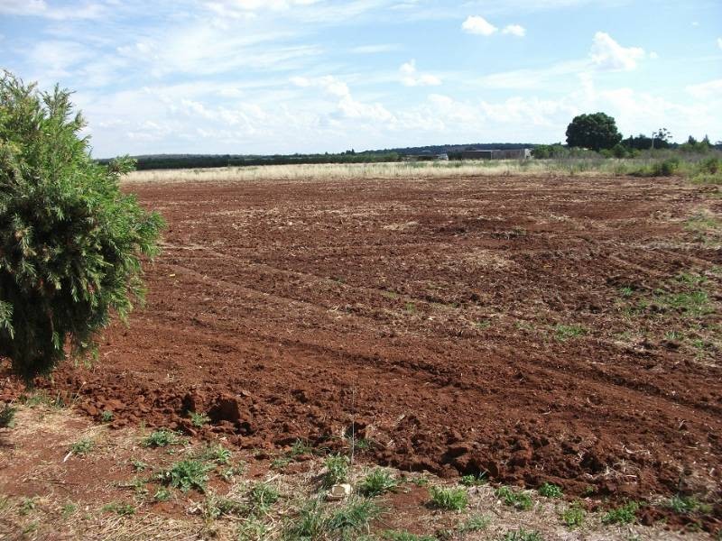 Farm 1884 Smeeth Road, Lake Wyangan NSW 2680