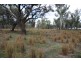 Lot 26 Sturt Highway, Darlington Point NSW 2706