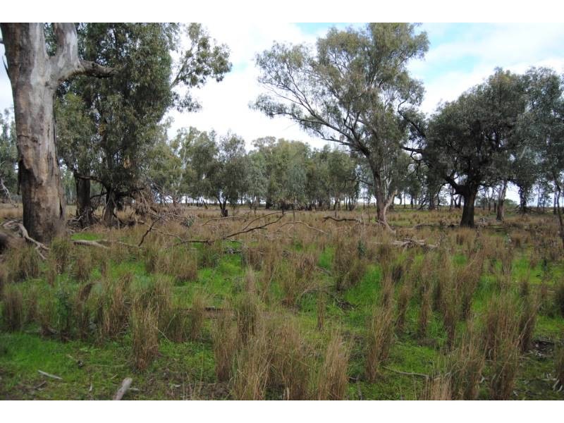 Lot 26 Sturt Highway, Darlington Point NSW 2706