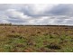 Lot 26 Sturt Highway, Darlington Point NSW 2706