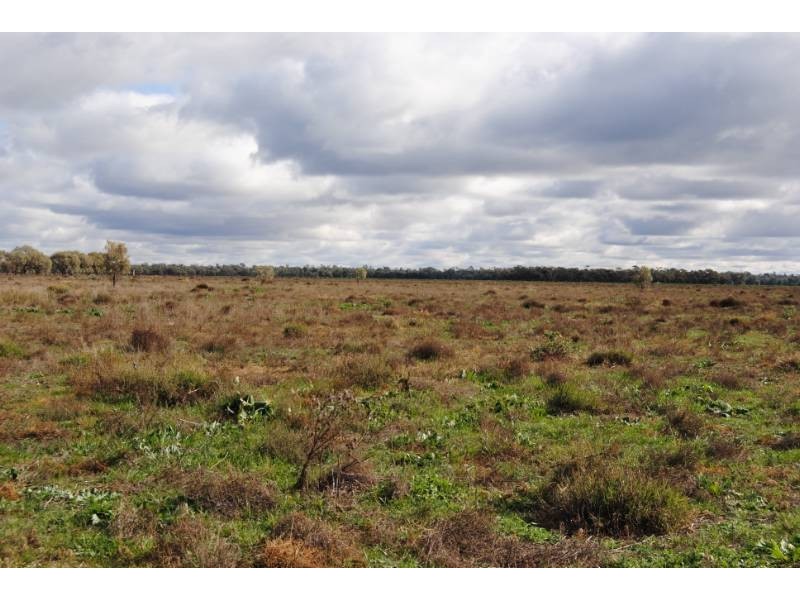 Lot 26 Sturt Highway, Darlington Point NSW 2706