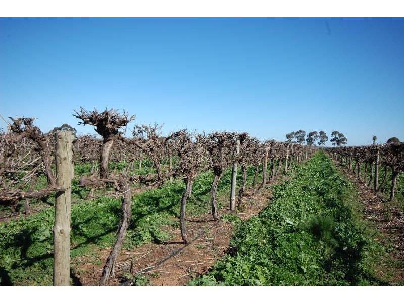 Farm 415 Yenda Road, Yenda NSW 2681