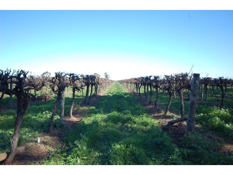 Farm 415 Yenda Road, Yenda NSW 2681