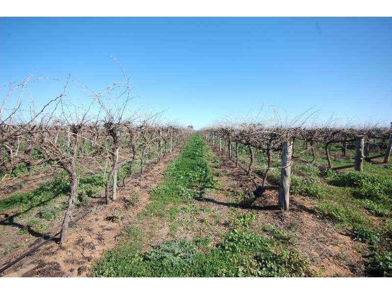 Farm 415 Yenda Road, Yenda NSW 2681