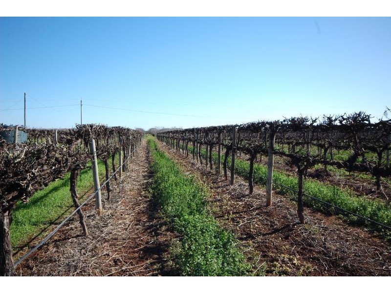 Farm 1916 Marin Road, Yenda NSW 2681