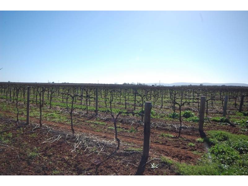 Farm 1916 Marin Road, Yenda NSW 2681