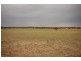Back Hillston Road, Tabbita NSW 2652