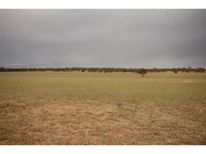 Back Hillston Road, Tabbita NSW 2652