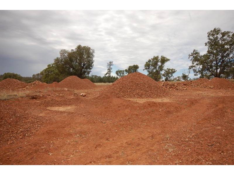 Back Hillston Road, Tabbita NSW 2652