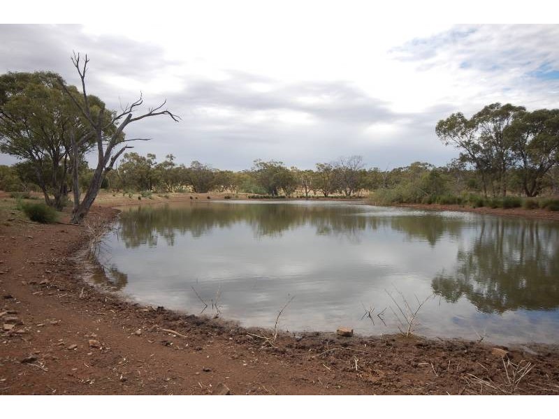 Back Hillston Road, Tabbita NSW 2652