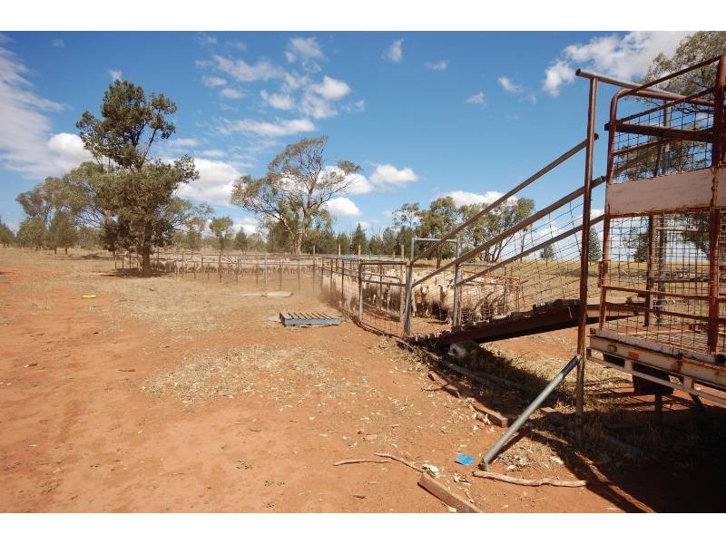 Back Hillston Road, Tabbita NSW 2652