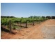 Farm 1773 Thompson Road, Stanbridge NSW 2705
