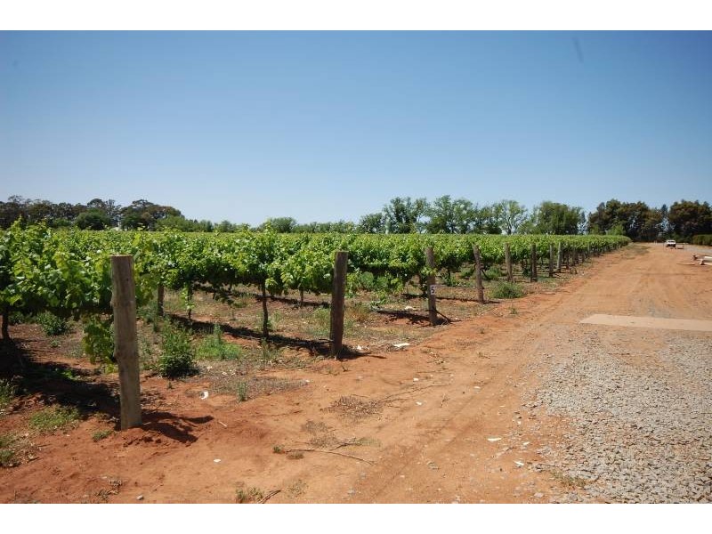Farm 1773 Thompson Road, Stanbridge NSW 2705
