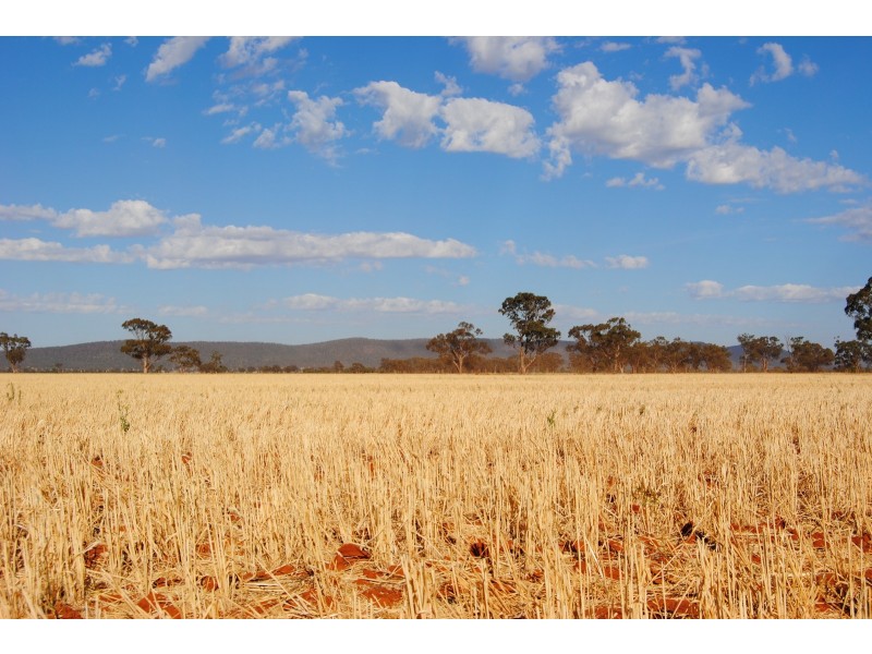 “The Plains” (Cruickshanks), Monia Gap NSW 2675