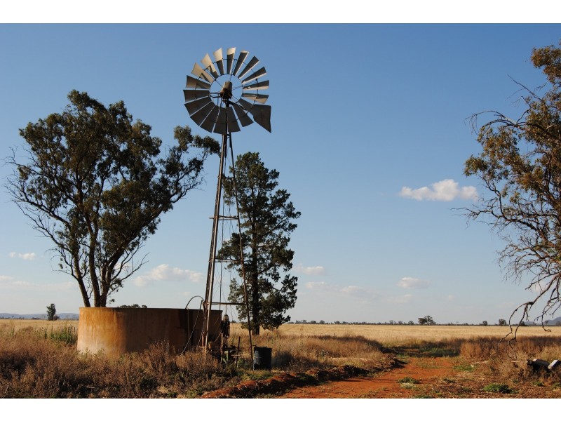 “The Plains” (Cruickshanks), Monia Gap NSW 2675