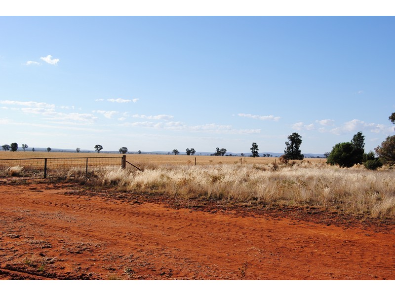 “The Plains” (Cruickshanks), Monia Gap NSW 2675