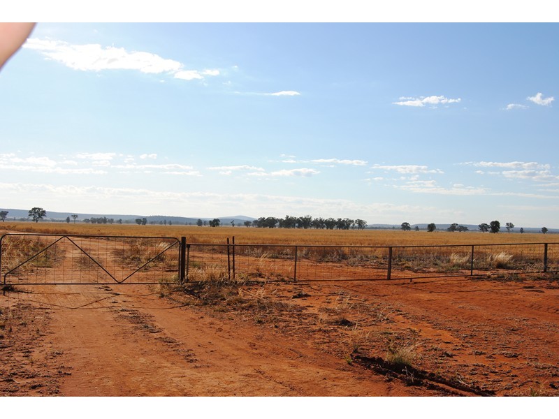 “The Plains” (Cruickshanks), Monia Gap NSW 2675
