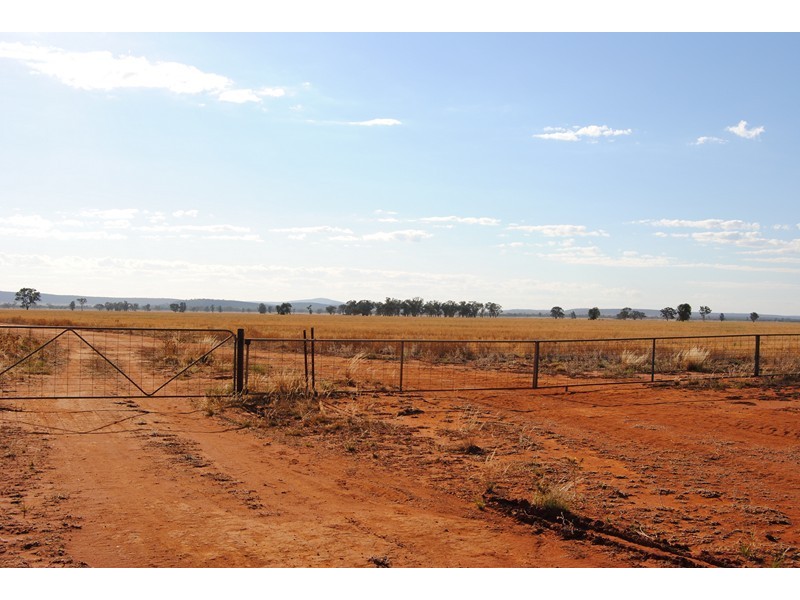 “The Plains” (Cruickshanks), Monia Gap NSW 2675