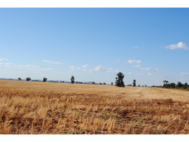 “The Plains” (Cruickshanks), Monia Gap NSW 2675