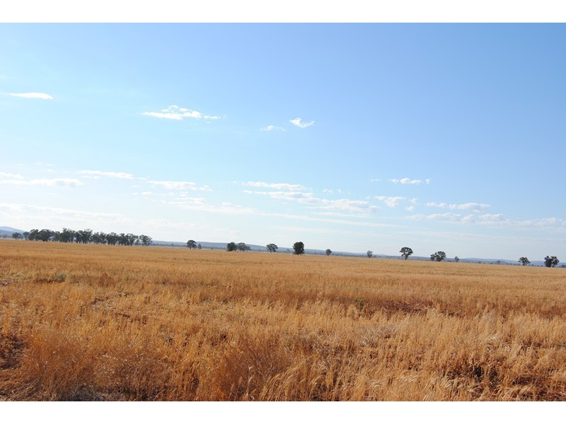 “The Plains” (Cruickshanks), Monia Gap NSW 2675