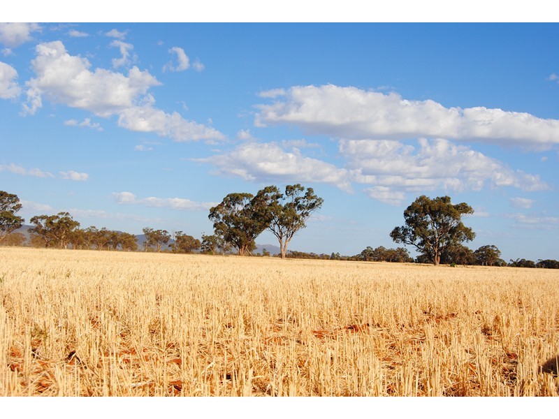 “The Plains” (Cruickshanks), Monia Gap NSW 2675