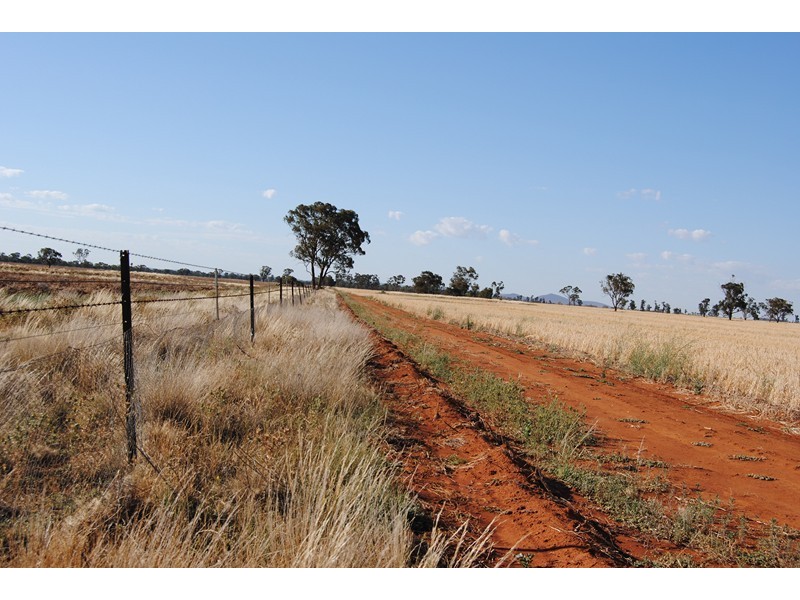 “The Plains” (Cruickshanks), Monia Gap NSW 2675