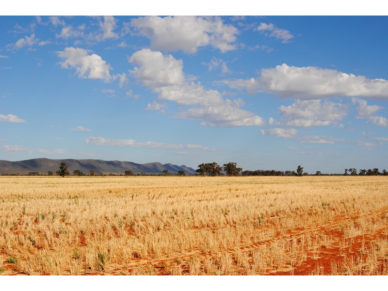 “The Plains” (Cruickshanks), Monia Gap NSW 2675
