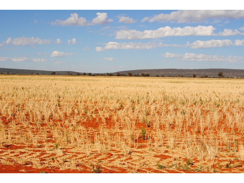 “The Plains” (Cruickshanks), Monia Gap NSW 2675