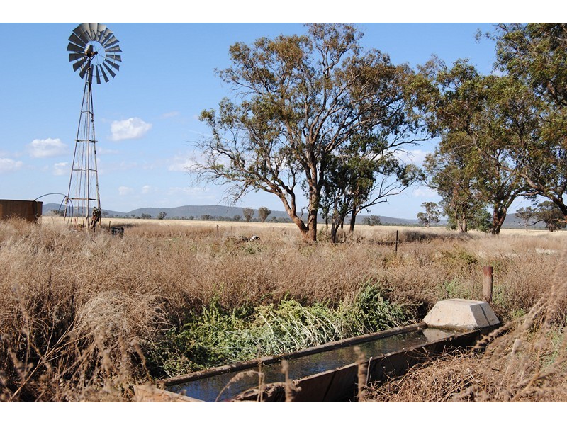 “The Plains” (Cruickshanks), Monia Gap NSW 2675