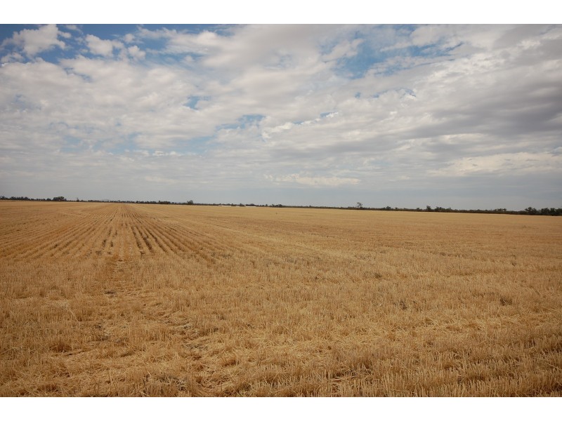 ‘Salisbury Downs’ Sandy Creek Rd, Moombooldool NSW 2665