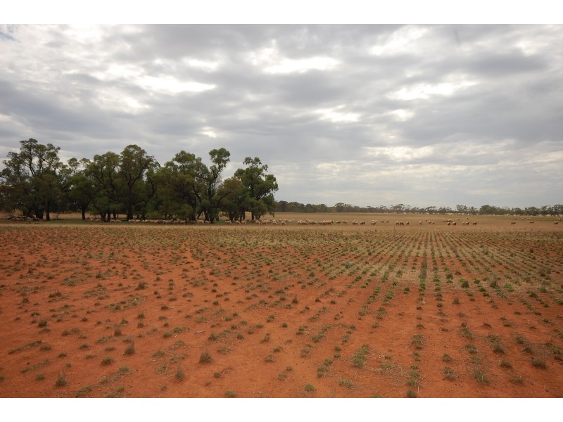 ‘Salisbury Downs’ Sandy Creek Rd, Moombooldool NSW 2665