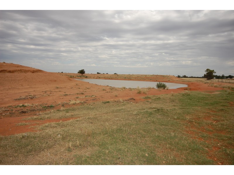 ‘Salisbury Downs’ Sandy Creek Rd, Moombooldool NSW 2665