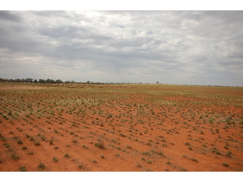 ‘Salisbury Downs’ Sandy Creek Rd, Moombooldool NSW 2665