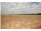 ‘Salisbury Downs’ Sandy Creek Rd, Moombooldool NSW 2665
