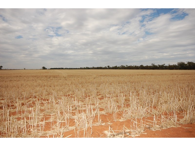 ‘Salisbury Downs’ Sandy Creek Rd, Moombooldool NSW 2665