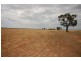 ‘Salisbury Downs’ Sandy Creek Rd, Moombooldool NSW 2665