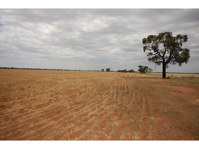‘Salisbury Downs’ Sandy Creek Rd, Moombooldool NSW 2665