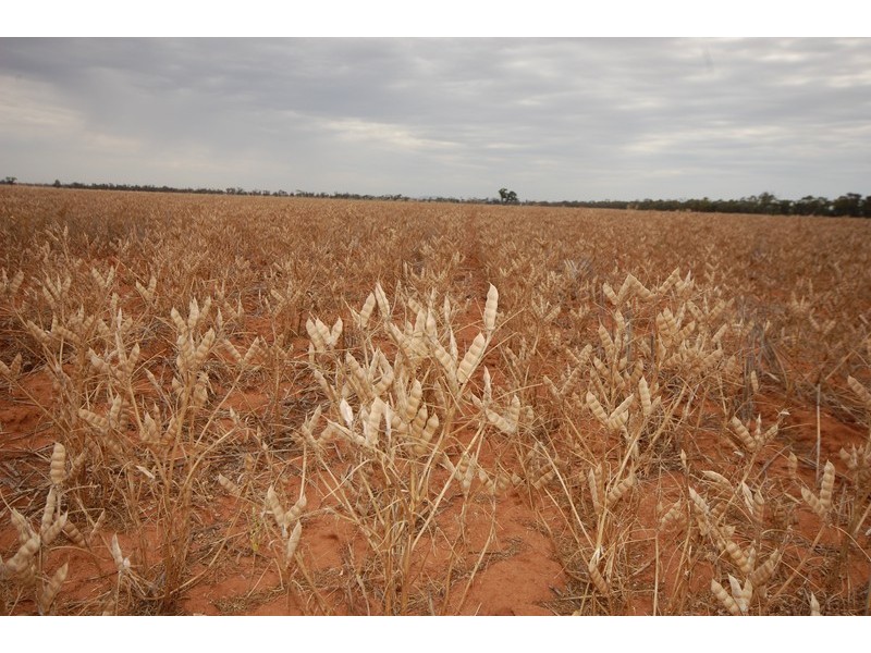 ‘Salisbury Downs’ Sandy Creek Rd, Moombooldool NSW 2665