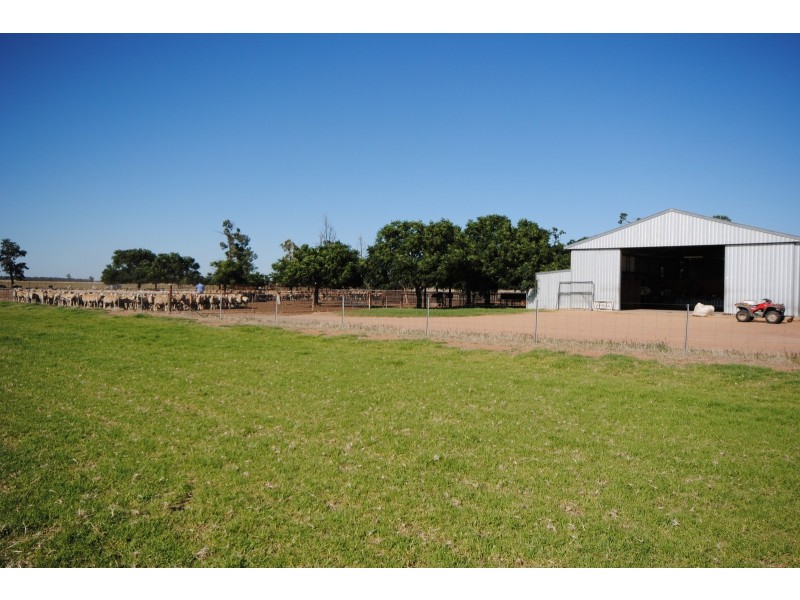 Part ‘Koonwarra’, Sturt Highway, Darlington Point NSW 2706