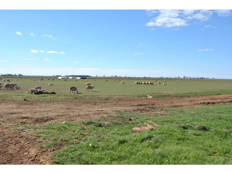 Part ‘Koonwarra’, Sturt Highway, Darlington Point NSW 2706