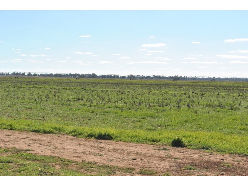 Part ‘Koonwarra’, Sturt Highway, Darlington Point NSW 2706