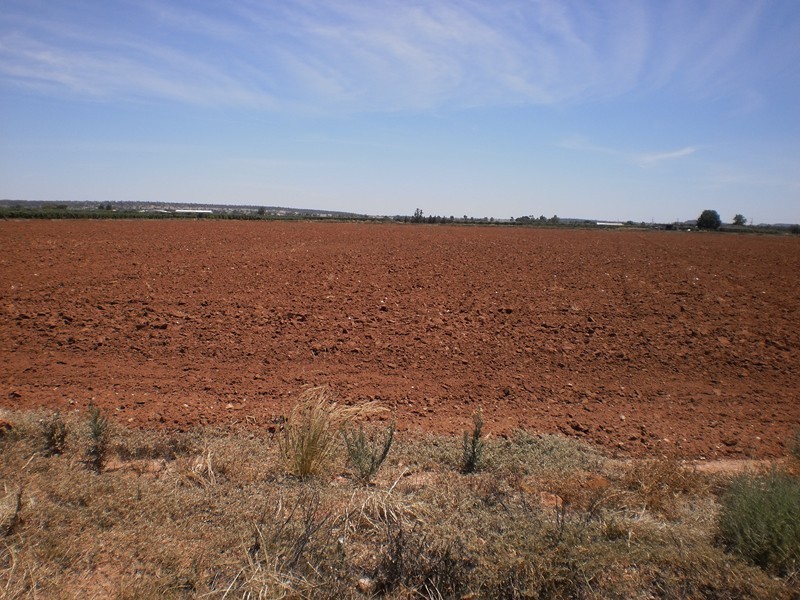 Lot 2, Farm 257, Savage Rd, Yoogali NSW 2680