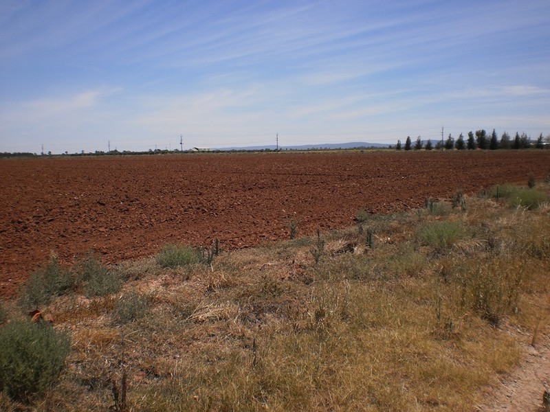 Lot 2, Farm 257, Savage Rd, Yoogali NSW 2680