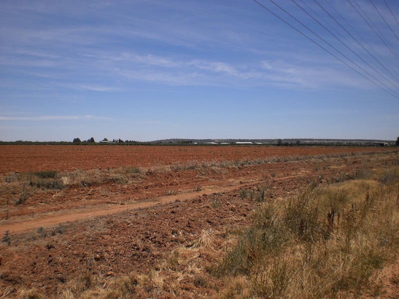 Lot 2, Farm 257, Savage Rd, Yoogali NSW 2680