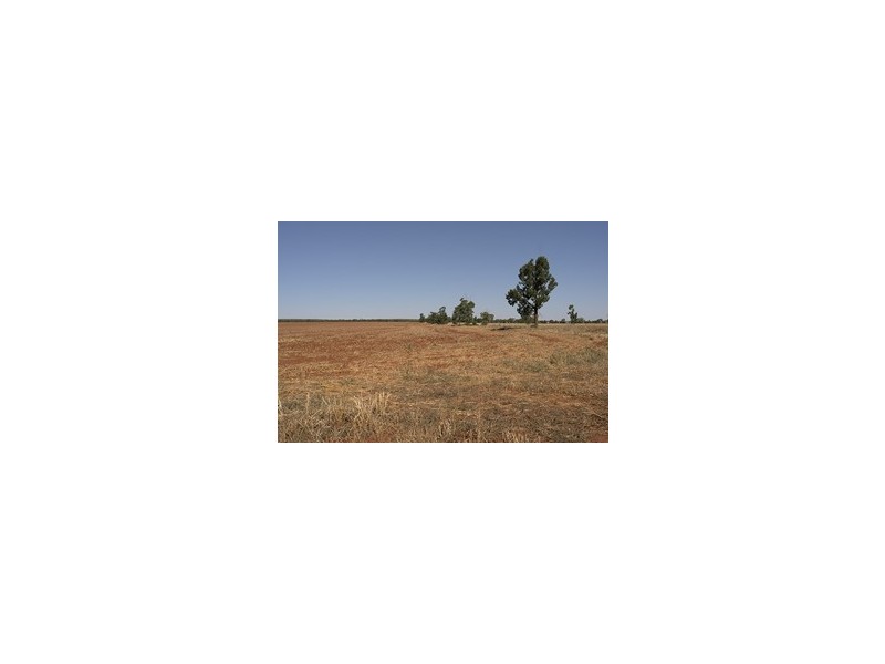 ‘MOORTANGI’ Simpkin Lane and Huxley Rd, Tabbita NSW 2652